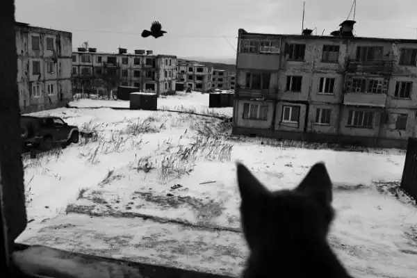 Атмосферные картинки