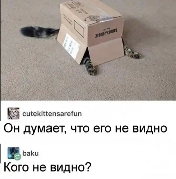 Весёлые