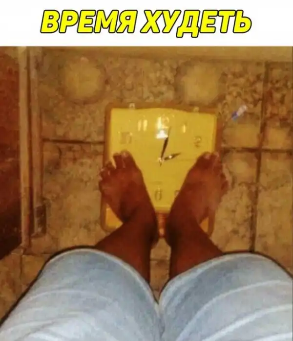 Весёлый полтишок