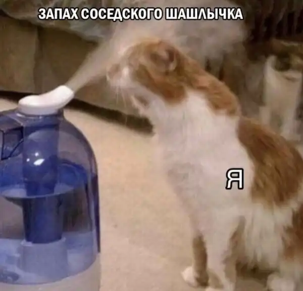 Весёлый полтишок