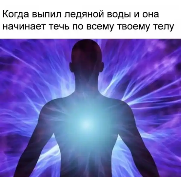 Весёлый полтишок