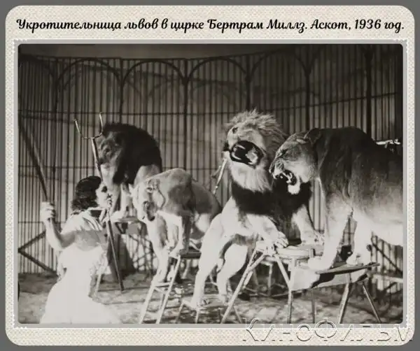 Фотографии прошлого, на которых история кажется ещё интересней