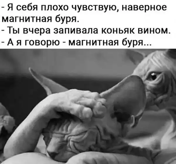 Алкопост