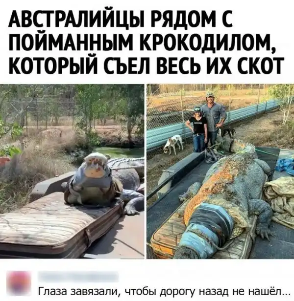 Смешные комментарии из соц.сетей