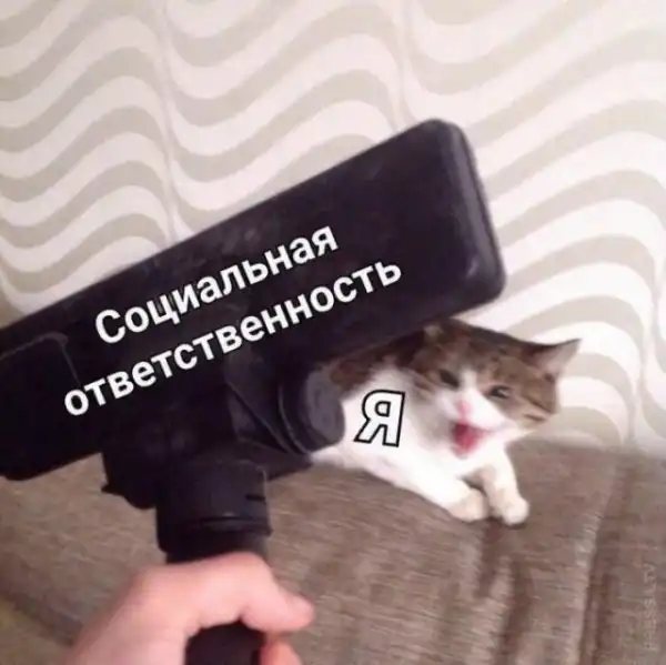 Картинки и мемы для настроения