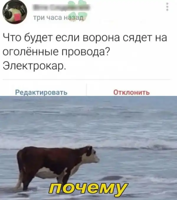 Картинки и мемы для настроения