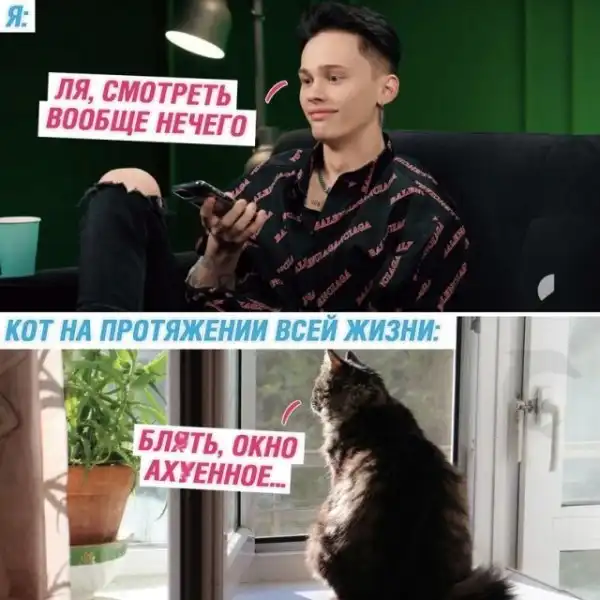 Картинки и мемы для настроения