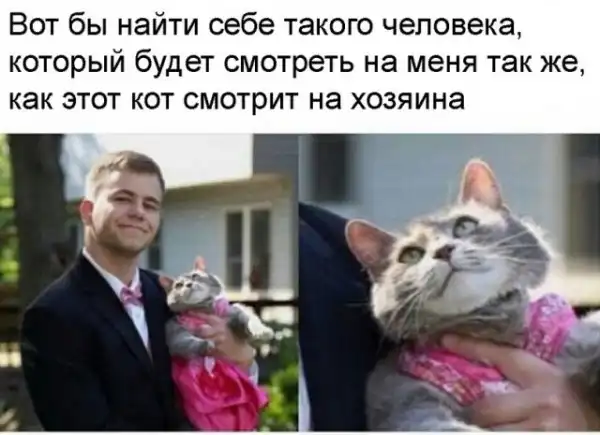 Картинки и мемы для настроения