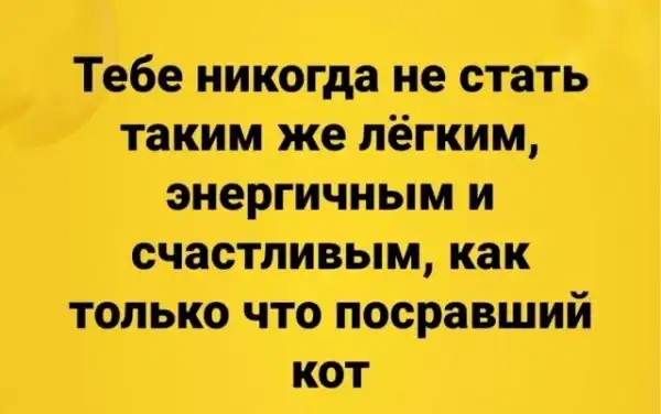Юмор и прикольные картинки