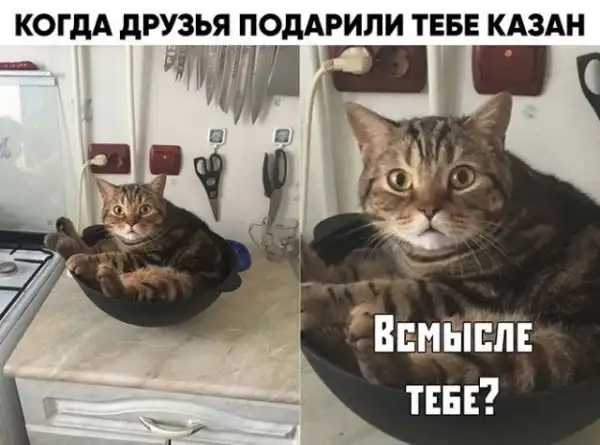 Баянисто-небаянистый юмор