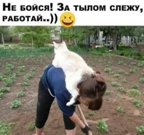 Баянисто-небаянистый юмор