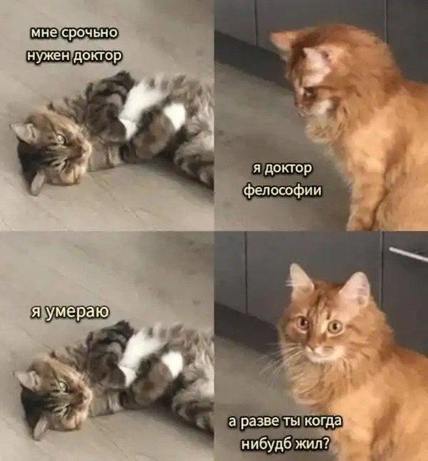 Нестандартный юмор :)