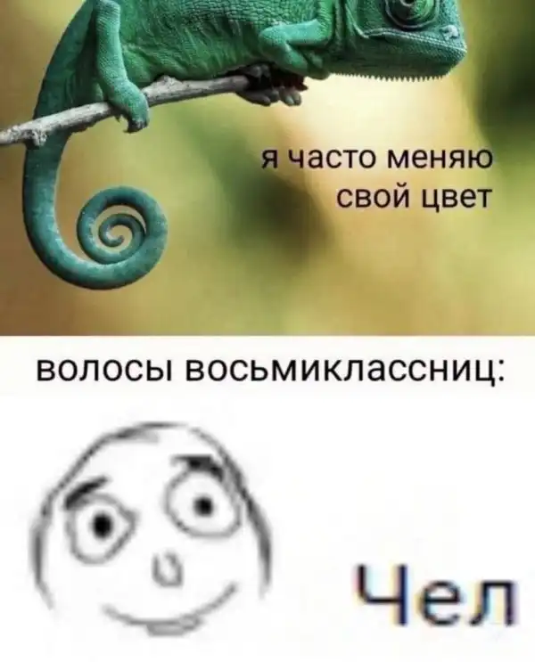 Нестандартный юмор :)