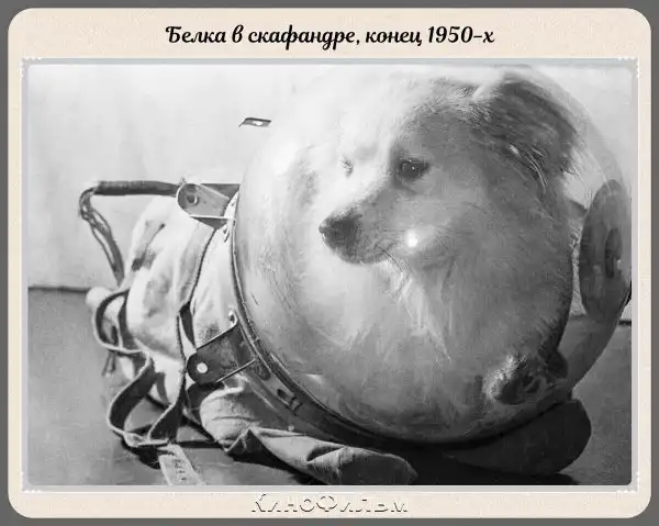 Фотографии прошлого, на которых история кажется ещё интересней