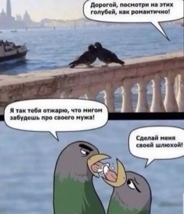 Лучшие шутки и мемы из Сети