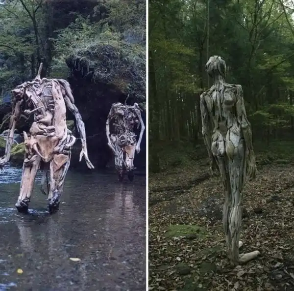 Пользователи показали снимки неожиданных и жутких находок, сделанных в дремучем лесу