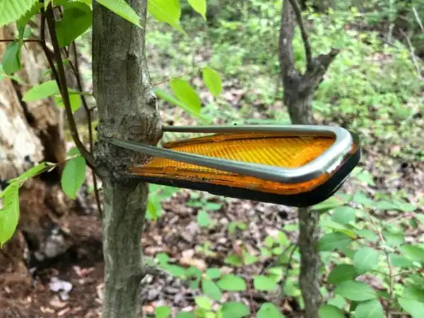 Пользователи показали снимки неожиданных и жутких находок, сделанных в дремучем лесу