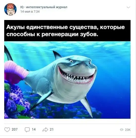 Новые фейки завезли: разоблачаем и клеймим позором Новые фейки завезли: разоблачаем и клеймим позором