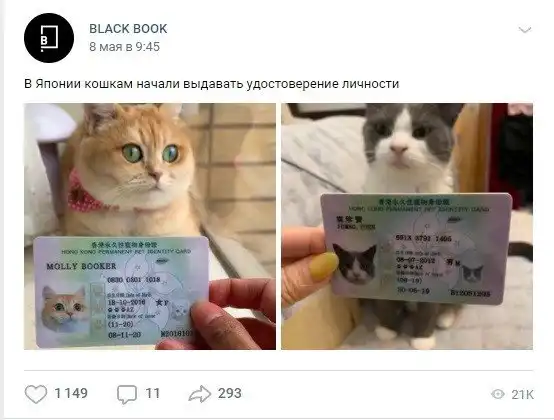 Новые фейки завезли: разоблачаем и клеймим позором Новые фейки завезли: разоблачаем и клеймим позором