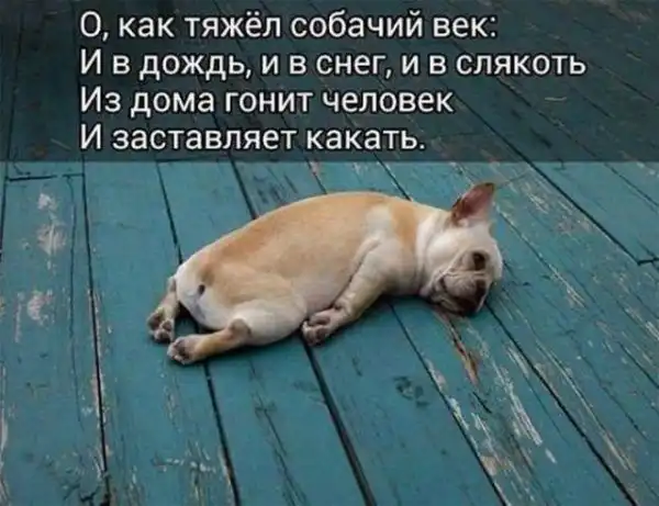 Так себе картинки