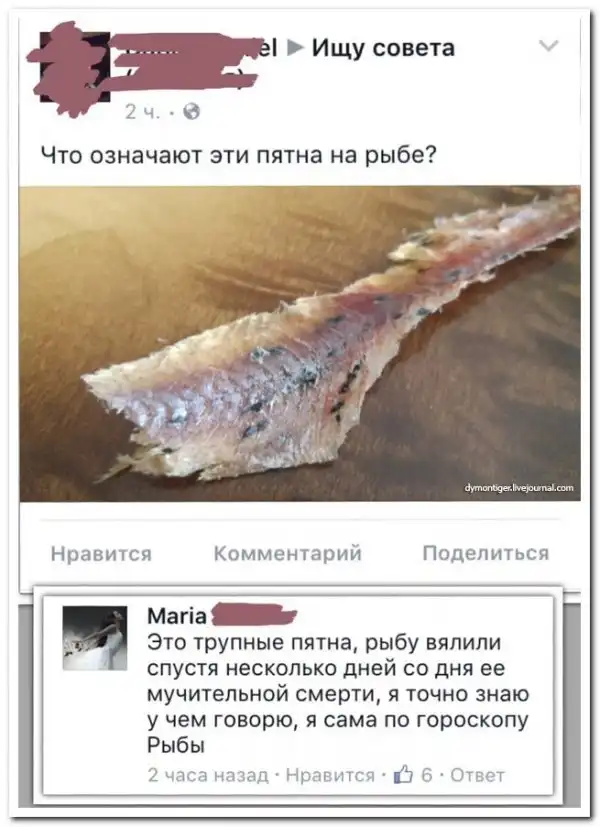 Смешные комментарии из соц.сетей