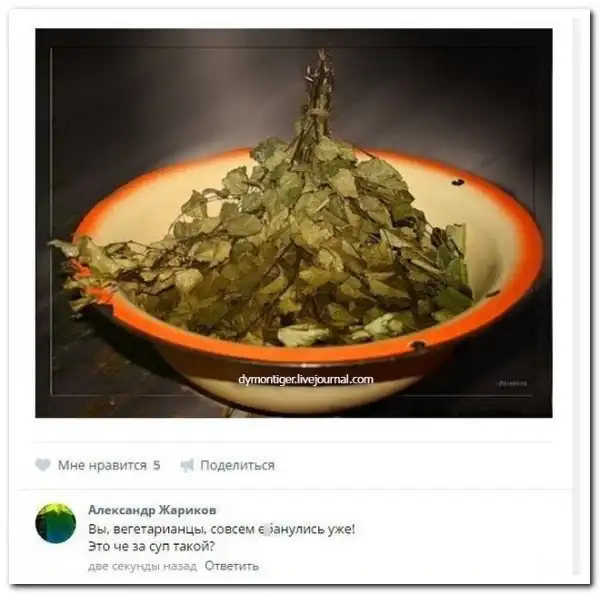 Смешные комментарии из соц.сетей