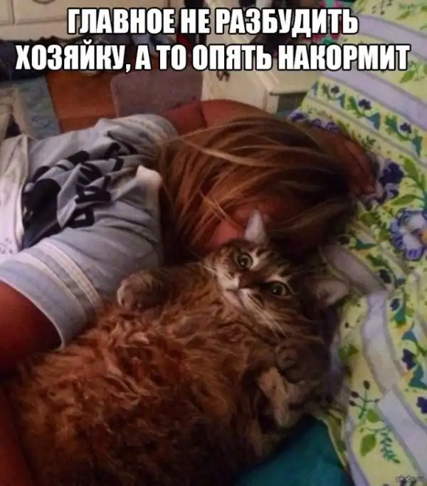 Так себе картинки