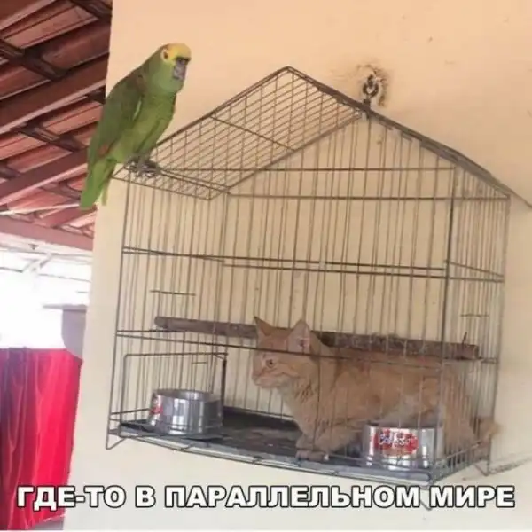 Так себе картинки