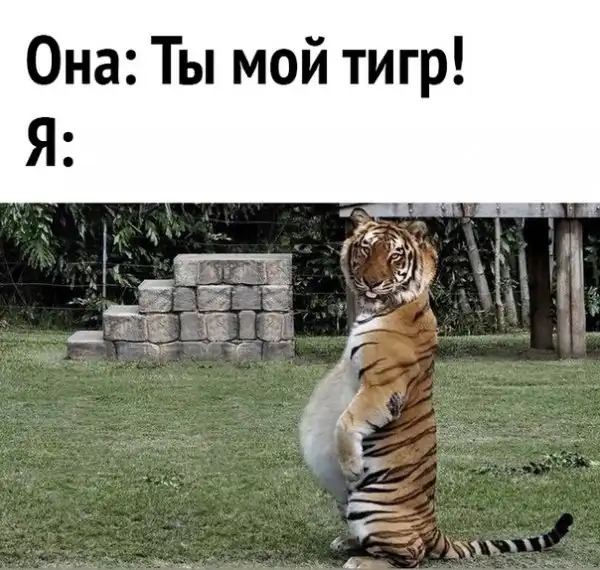 Немного картинок разной степени новизны