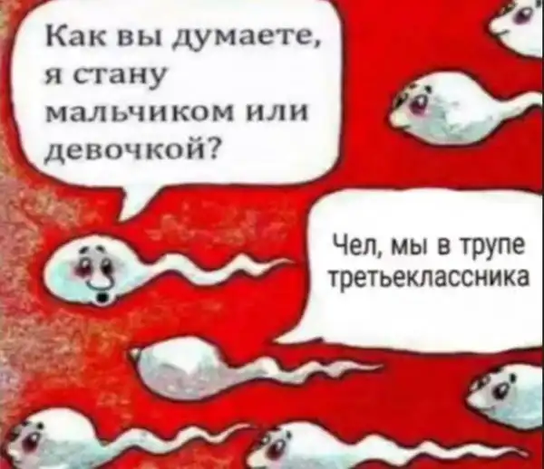 Немного картинок разной степени новизны