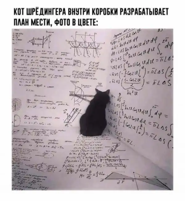 Немного картинок разной степени новизны