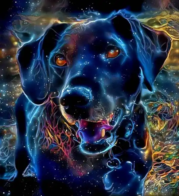 Crazy Art