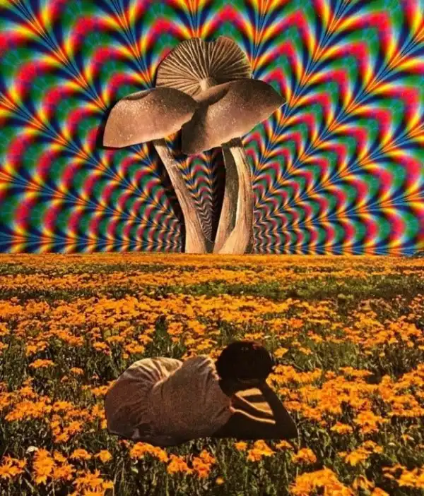 Crazy Art