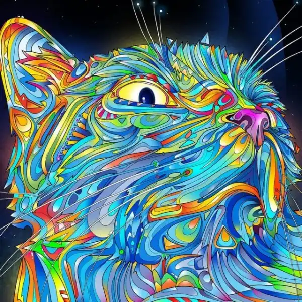 Crazy Art