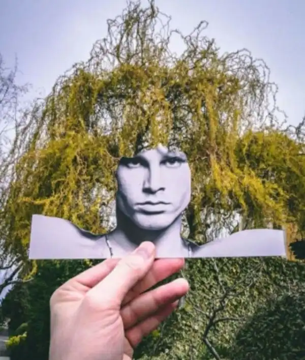 Crazy Art