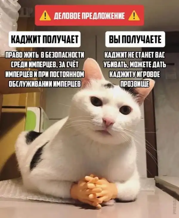 Картинки и мемы для настроения