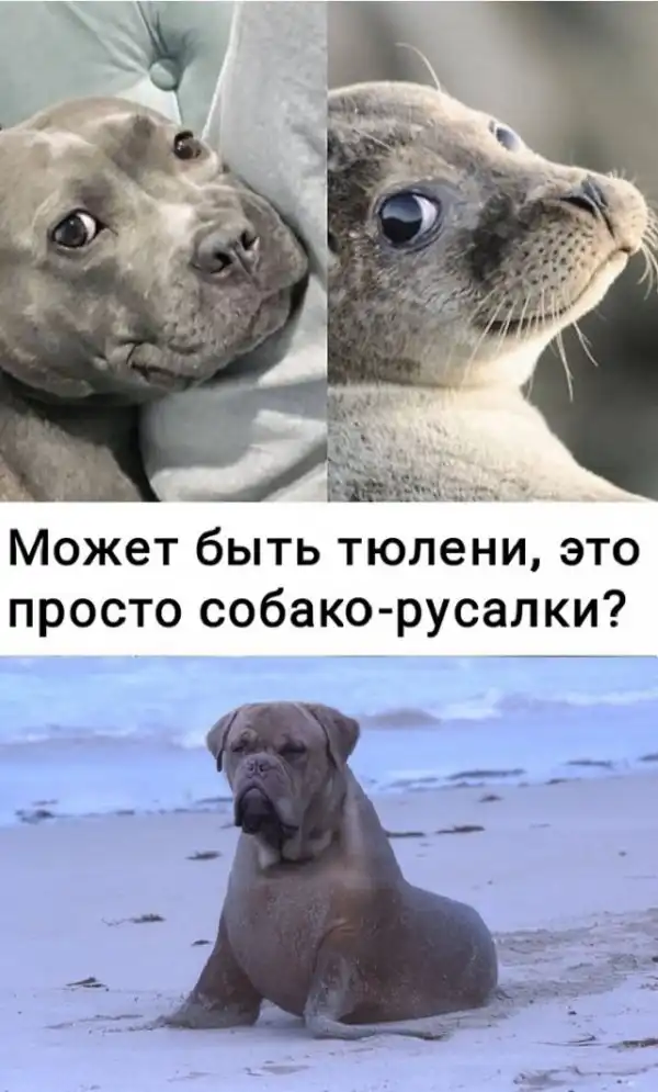Картинки с надписями и всякие жизненные фразы