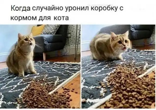 Картинки с надписями и всякие жизненные фразы