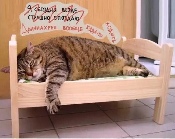 Картинки с надписями и всякие жизненные фразы