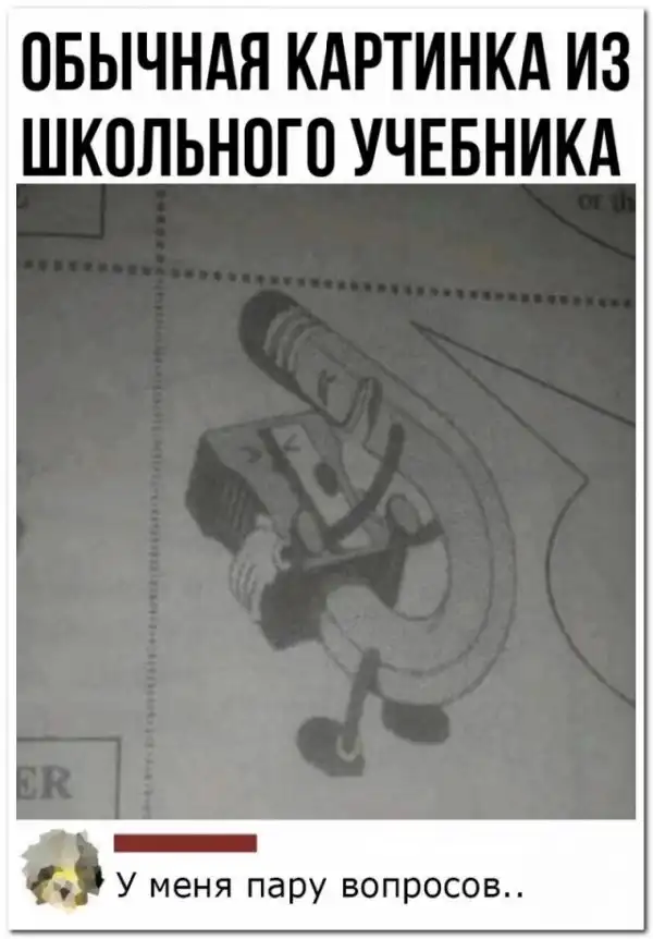 Забавные комментарии из социальных сетей