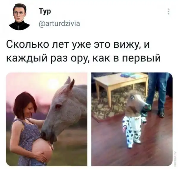 Картинки и мемы для настроения
