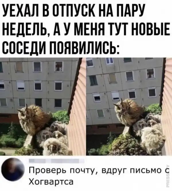 Картинки и мемы для настроения