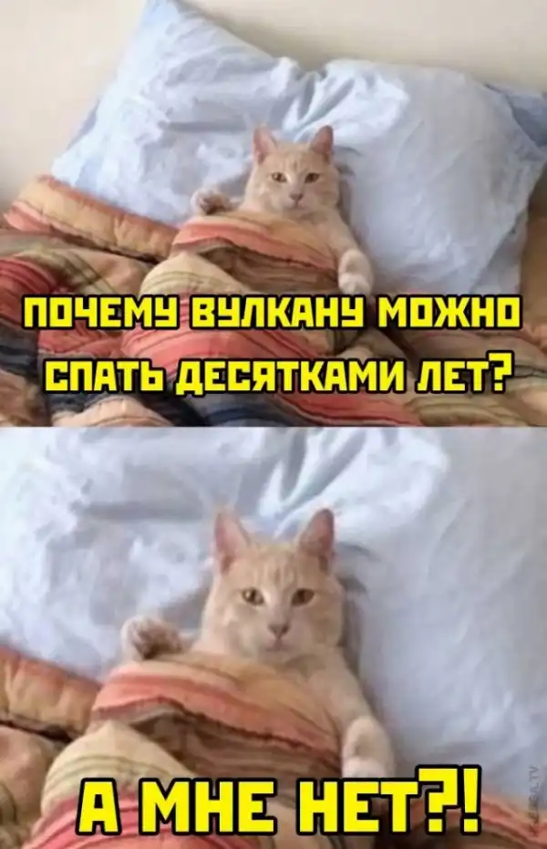 Картинки и мемы для настроения