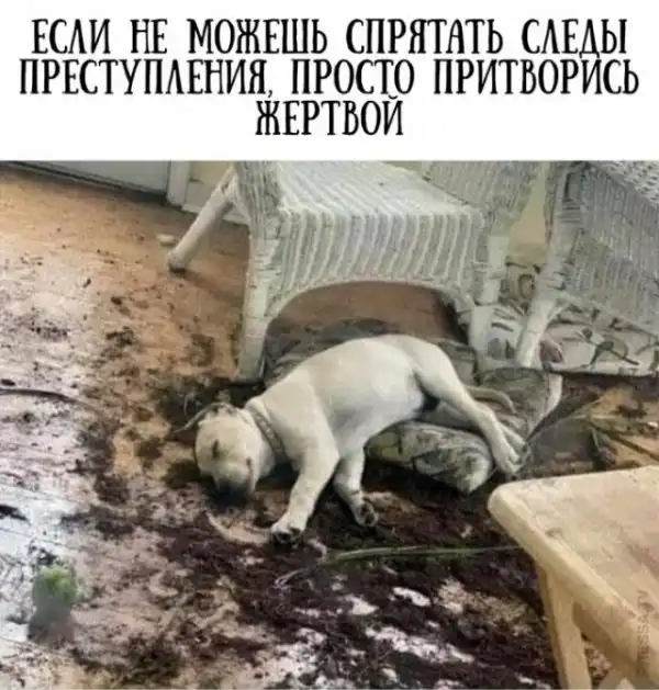 Картинки и мемы для настроения