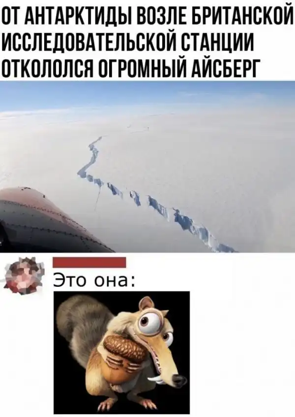 Смешные комментарии из соц.сетей