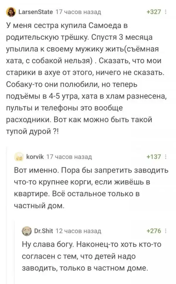 Смешные комментарии из соц.сетей