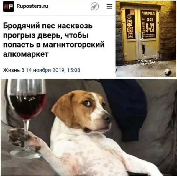Смешные комментарии из соц.сетей