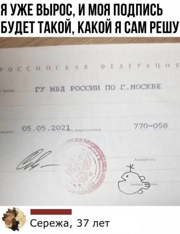 Смешные комментарии из соц.сетей