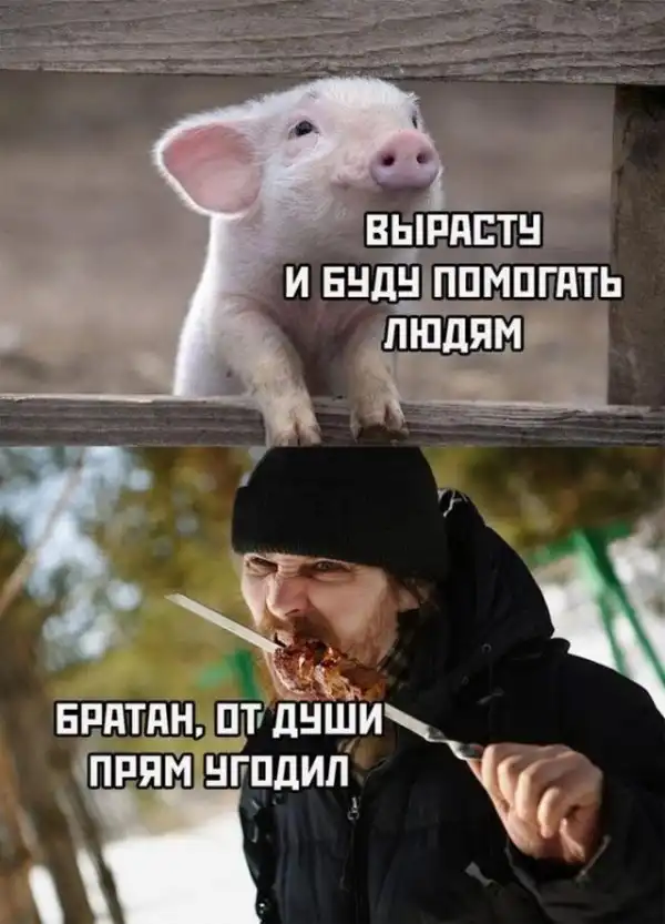 Баянисто-небаянистый юмор