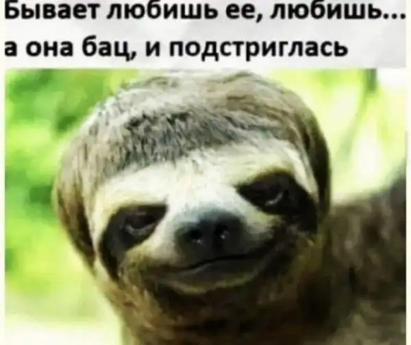 Баянисто-небаянистый юмор